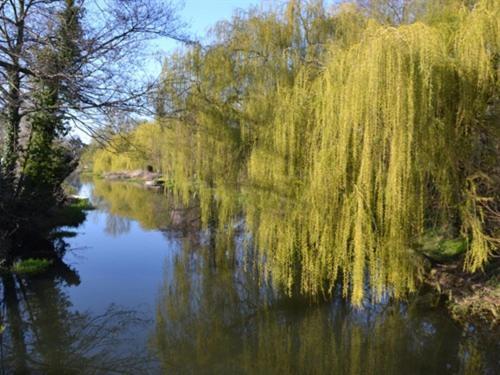 Bridge House B&B Coltishall Dış mekan fotoğraf